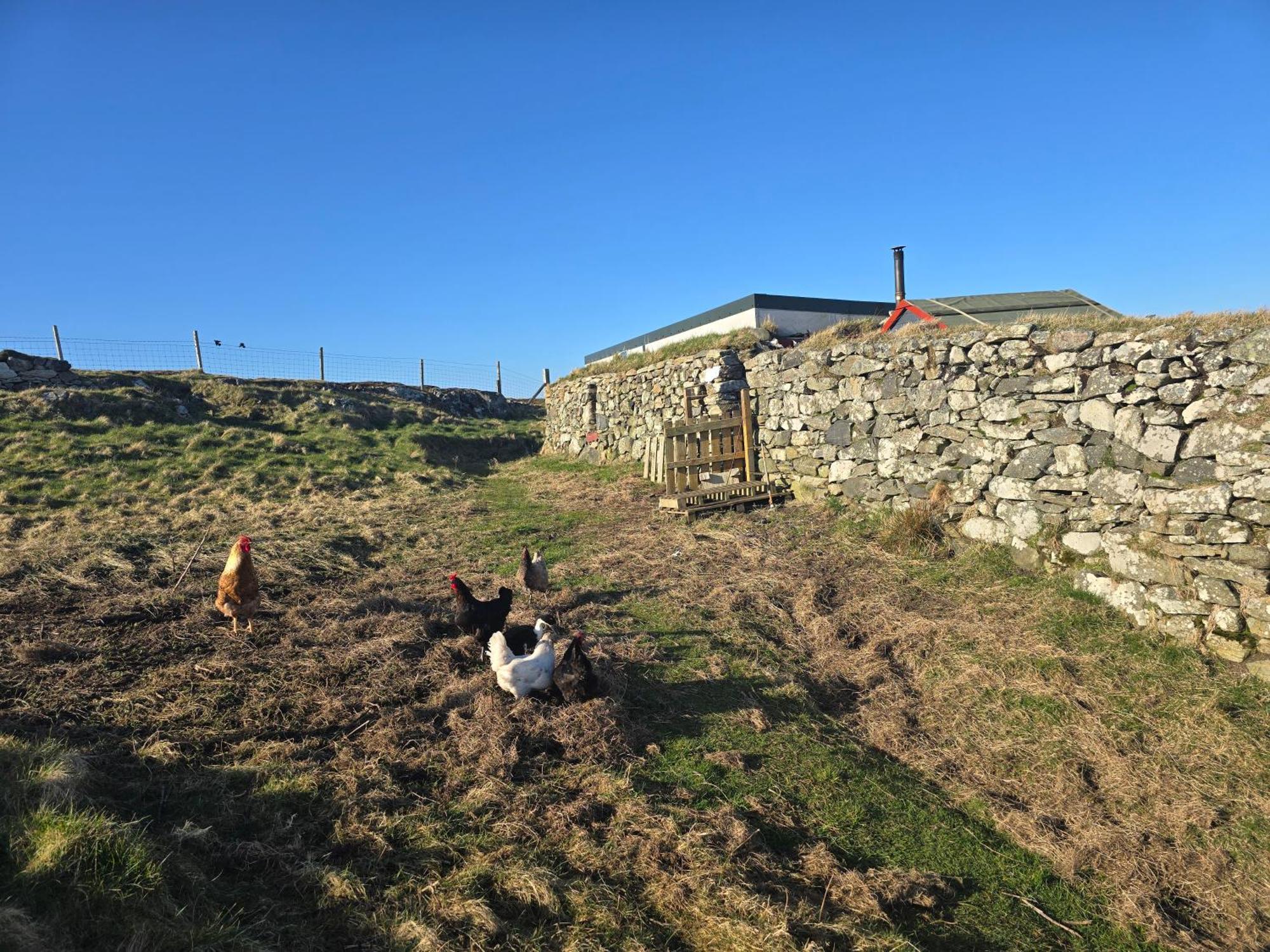 Вілла Squealing Pig Bothy Barvas Екстер'єр фото